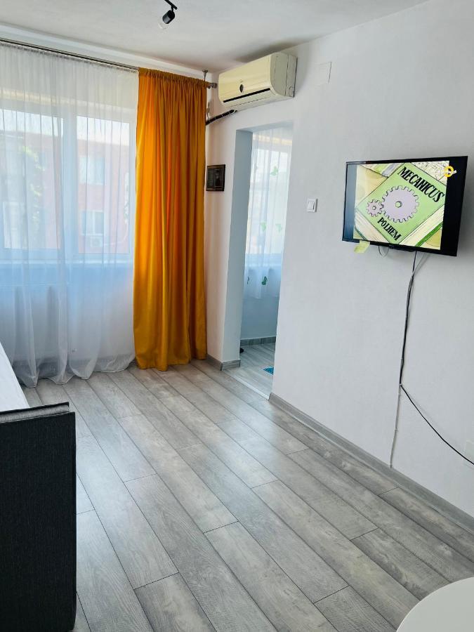 Miha Modern And Central Apartament Αράντ Εξωτερικό φωτογραφία